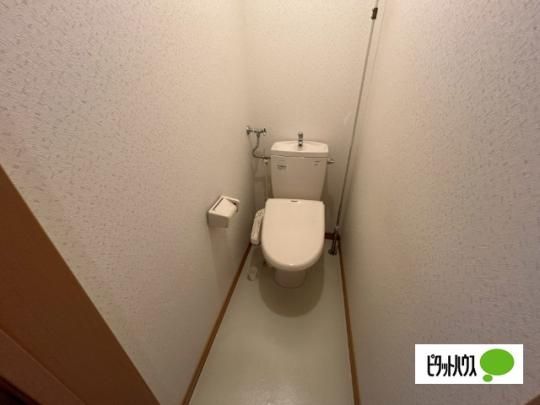 �y���̑��z�@�g�C��