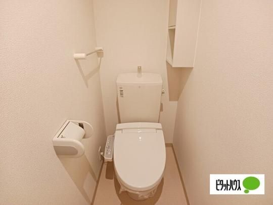 �y���̑��z�@�g�C��