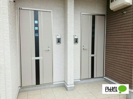 �y�����O�ρz�@�G���g�����X