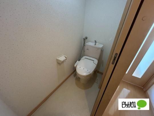 �y���̑��z�@�g�C��