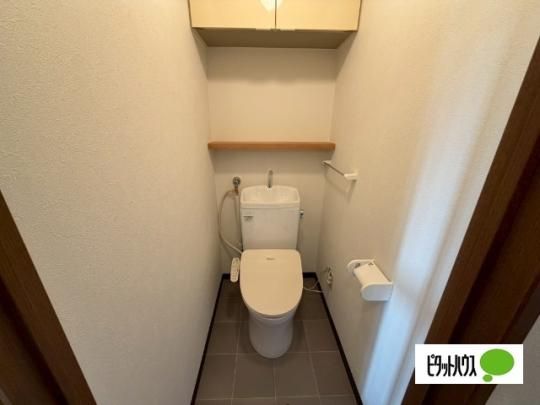 �y���̑��z�@�g�C��