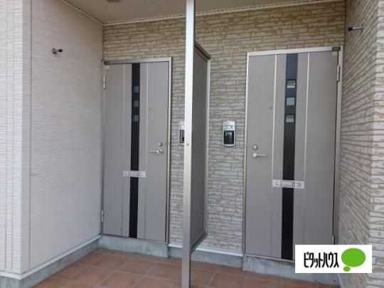 �y�����O�ρz�@�G���g�����X