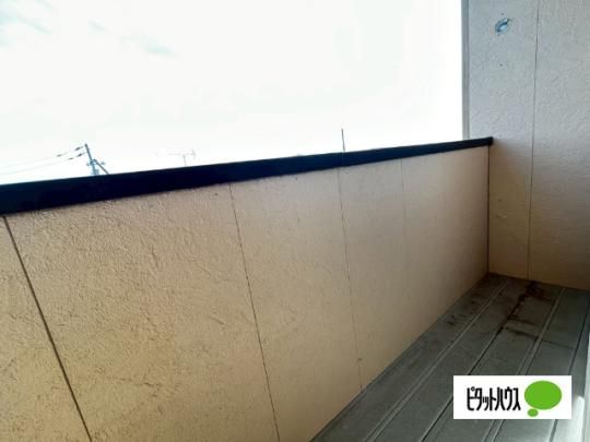 �y���̑��z�@�o���R�j�[