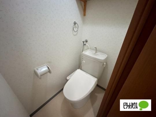 �y���̑��z�@�g�C��