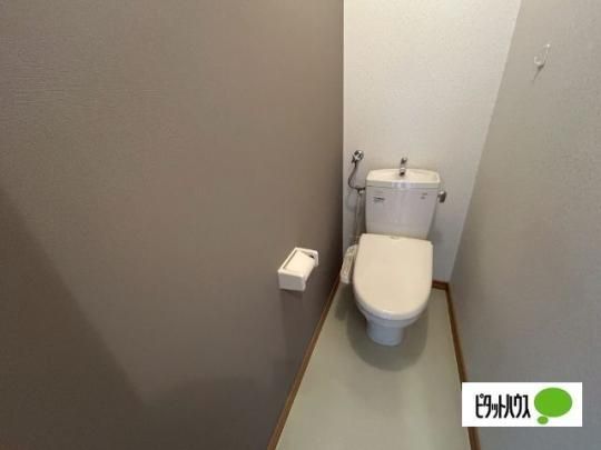 �y���̑��z�@�g�C��