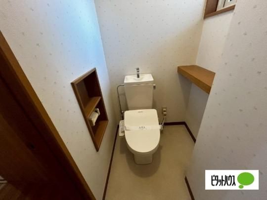 �y���̑��z�@�g�C��