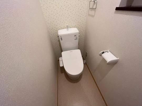 �y���̑��z�@�g�C��