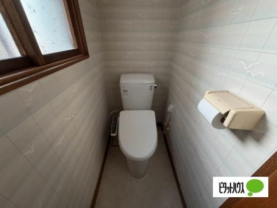 �y���̑��z�@�g�C��