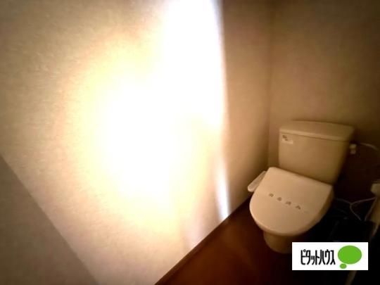 �y���̑��z�@�g�C��