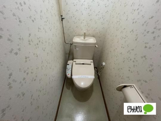 �y���̑��z�@�g�C��