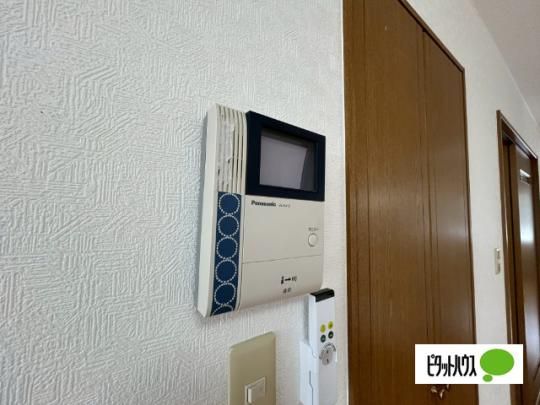 �y���̑��z�@�Z�L�����e�B