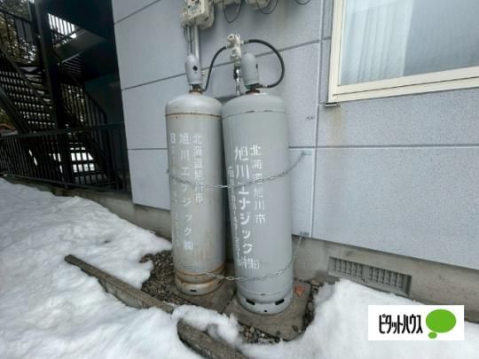 �y�����O�ρz�@���L����