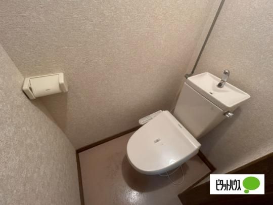 �y���̑��z�@�g�C��