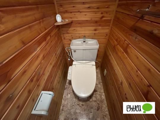 �y���̑��z�@�g�C��