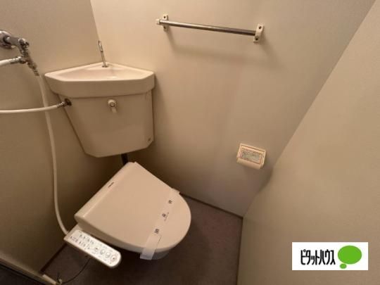 �y���̑��z�@�g�C��