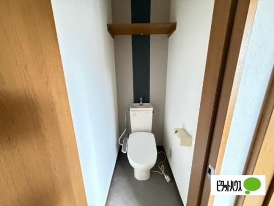 �y���̑��z�@�g�C��