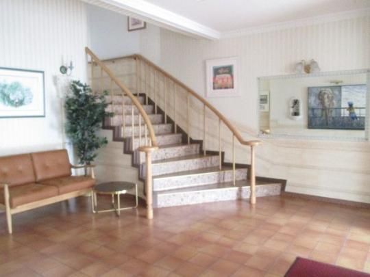 �y�����O�ρz�@���r�[