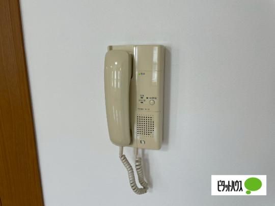 �y���̑��z�@�Z�L�����e�B