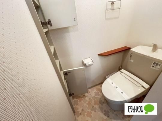 �y���̑��z�@�g�C��