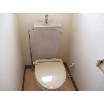�y���̑��z�@�g�C��