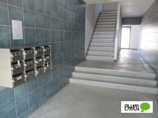 �y�����O�ρz�@���r�[