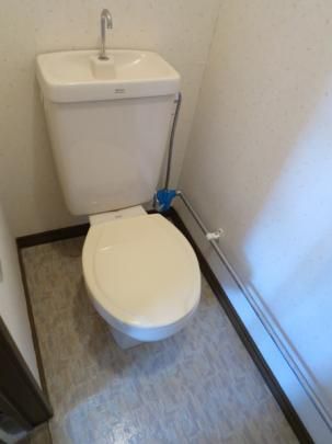 �y���̑��z�@�g�C��