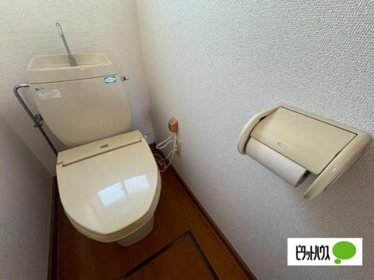 �y���̑��z�@�g�C��