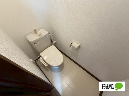 �y���̑��z�@�g�C��