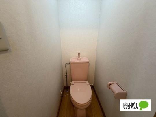 �y���̑��z�@�g�C��