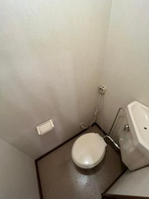 �y���̑��z�@�g�C��