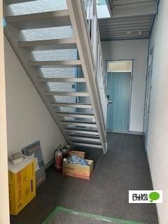 �y�����O�ρz�@�G���g�����X