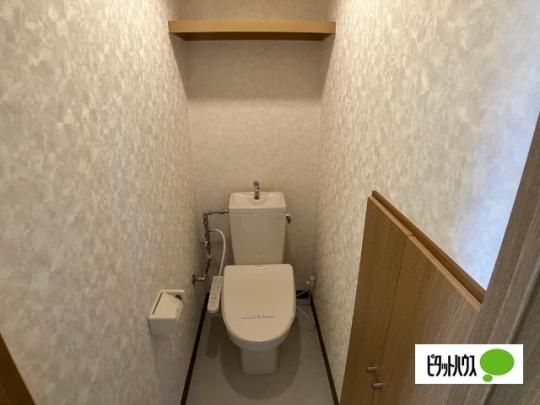 �y���̑��z�@�g�C��