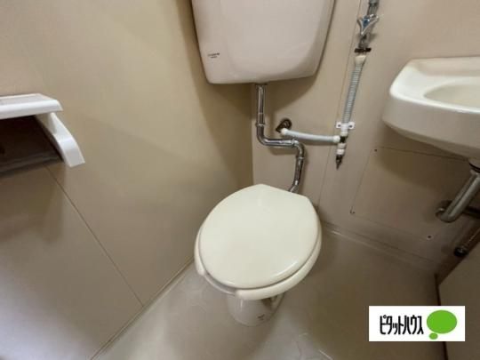 �y���̑��z�@�g�C��