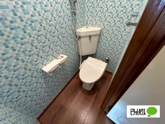 �y���̑��z�@�g�C��