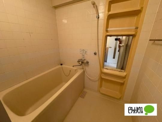 �y���̑��z�@�o�X�^�V�����[