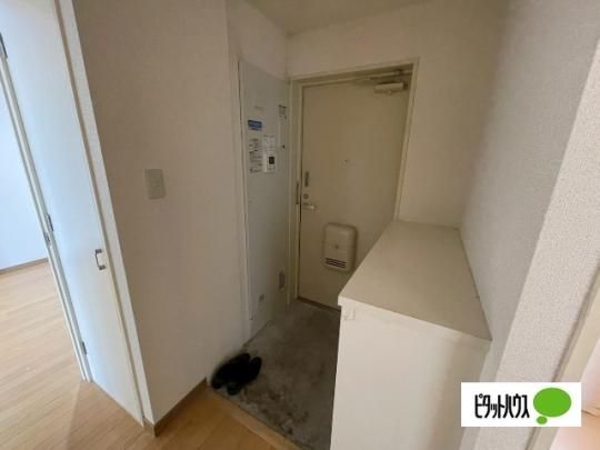 �y���̑��z�@����