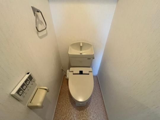 �y���̑��z�@�g�C��