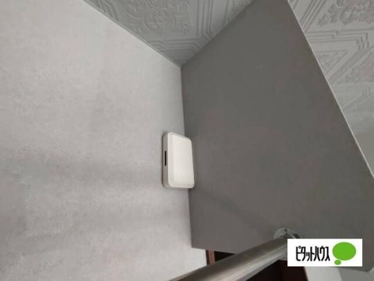 �y���̑��z�@�Z�L�����e�B