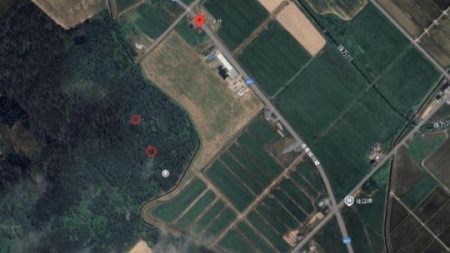 �@�����O��