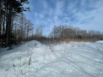 �@�����O��